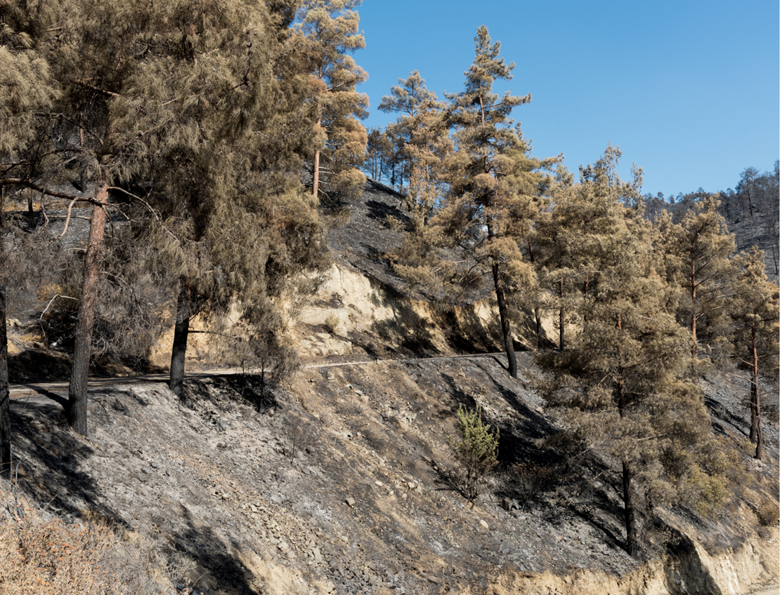 Terry Old, Managing Director – Kernow Environmental Services