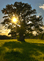 Financial Planning- Required Financial Services